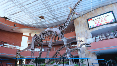 河源恐龙博物馆