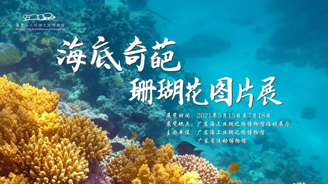 《海底奇葩——珊瑚花》展览